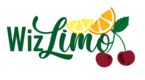 Logo Wiz Limo
